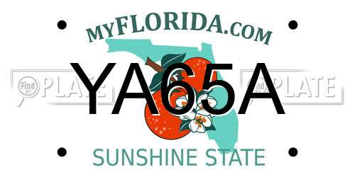 YA65A Florida License Plate