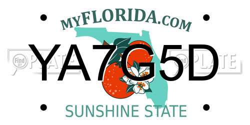 YA7G5D Florida License Plate