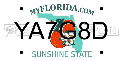YA7G8D Florida License Plate