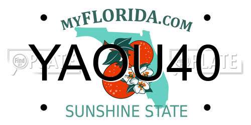 YAOU40 Florida License Plate