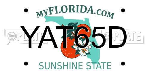 YAT65D Florida License Plate