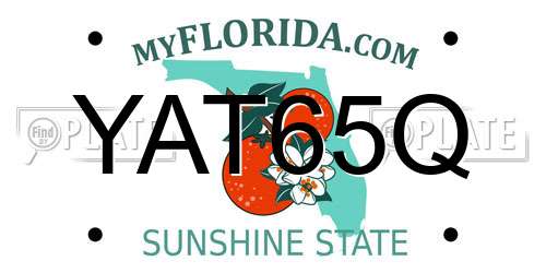 YAT65Q Florida License Plate