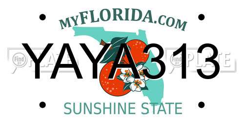 YAYA313 Florida License Plate