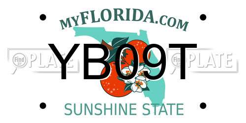 YB09T Florida License Plate
