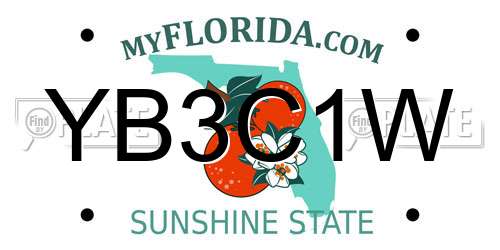 YB3C1W Florida License Plate