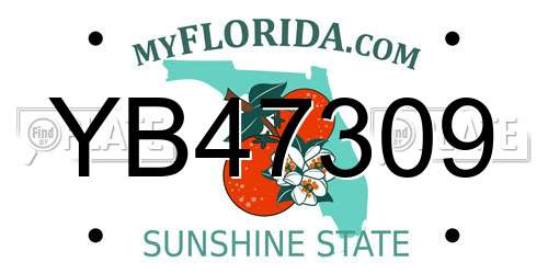 YB47309 Florida License Plate