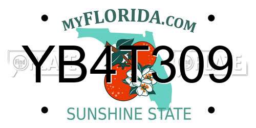 YB4T309 Florida License Plate