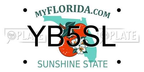 YB5SL Florida License Plate