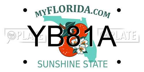 YB81A Florida License Plate