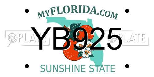 YB925 Florida License Plate