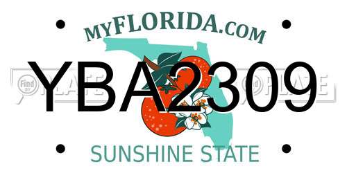 YBA2309 Florida License Plate