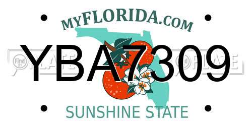 YBA7309 Florida License Plate
