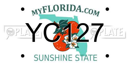 YC127 Florida License Plate