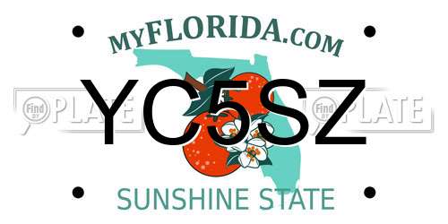 YC5SZ Florida License Plate