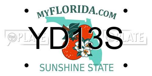 YD13S Florida License Plate