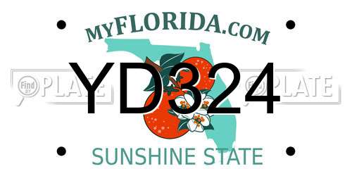 YD324 Florida License Plate
