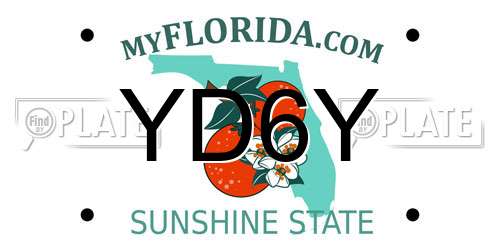 YD6Y Florida License Plate