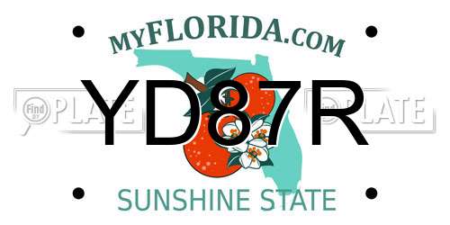YD87R Florida License Plate