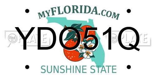 YDO51Q Florida License Plate