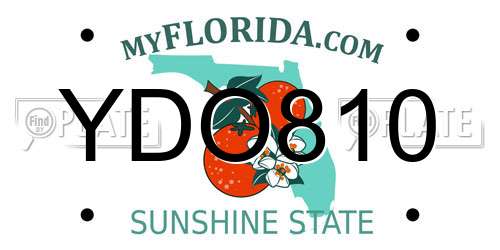 YDO810 Florida License Plate