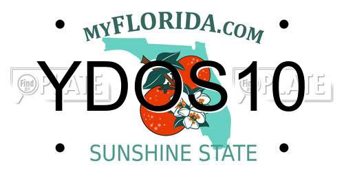 YDOS10 Florida License Plate