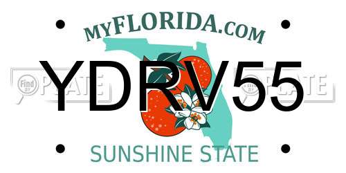 YDRV55 Florida License Plate