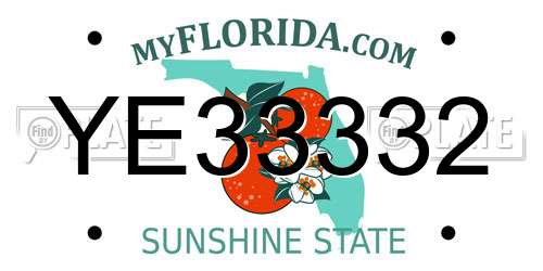 YE33332 Florida License Plate