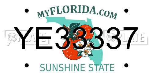 YE33337 Florida License Plate