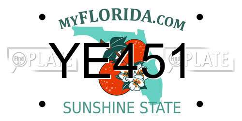 YE451 Florida License Plate