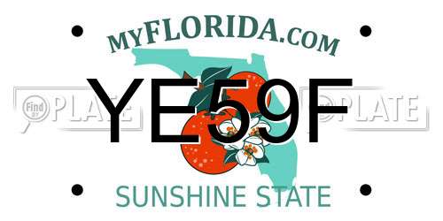 YE59F Florida License Plate