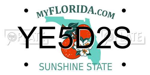 YE5D2S Florida License Plate