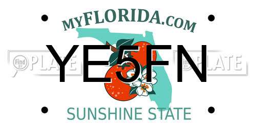 YE5FN Florida License Plate