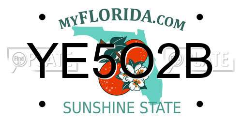 YE5O2B Florida License Plate