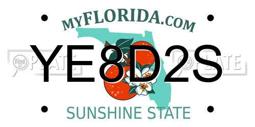 YE8D2S Florida License Plate