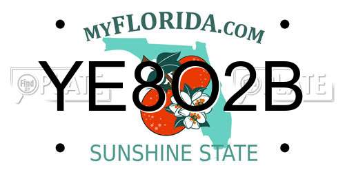 YE8O2B Florida License Plate