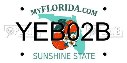 YEB02B Florida License Plate