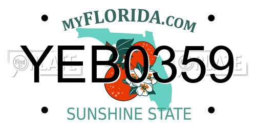 YEB0359 Florida License Plate
