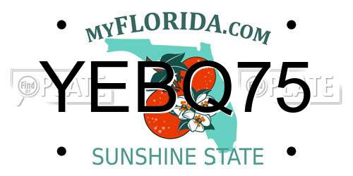 YEBQ75 Florida License Plate
