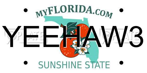 YEEHAW3 Florida License Plate