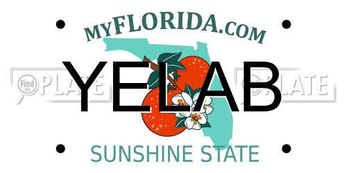YELAB Florida License Plate