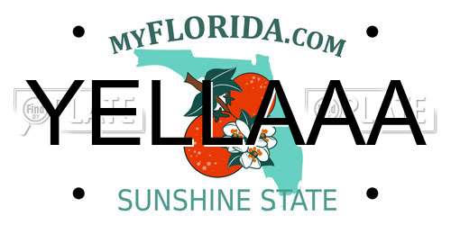 YELLAAA Florida License Plate