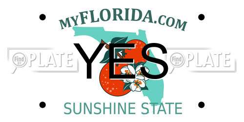 YES Florida License Plate