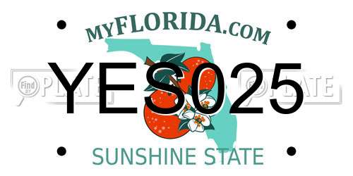 YES025 Florida License Plate