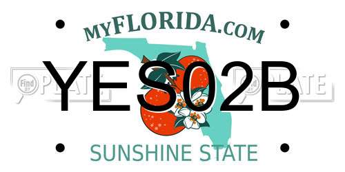 YES02B Florida License Plate