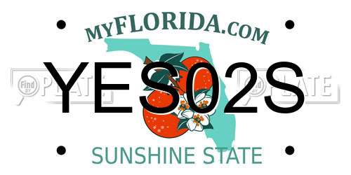 YES02S Florida License Plate