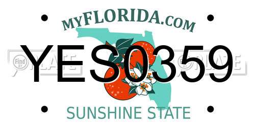 YES0359 Florida License Plate