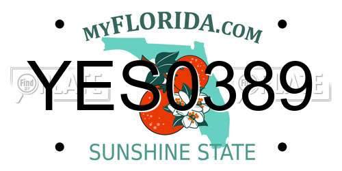 YES0389 Florida License Plate