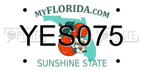 YES075 Florida License Plate