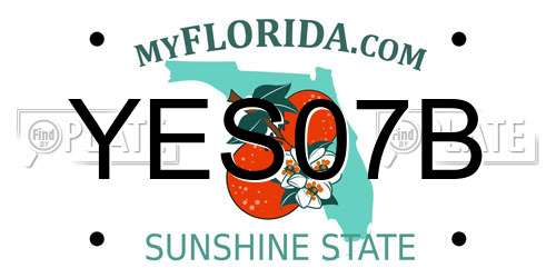YES07B Florida License Plate