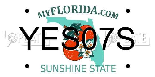 YES07S Florida License Plate